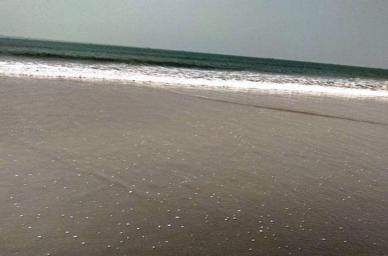 Saritas Guest House - Bogmalo Beach Bagian luar foto